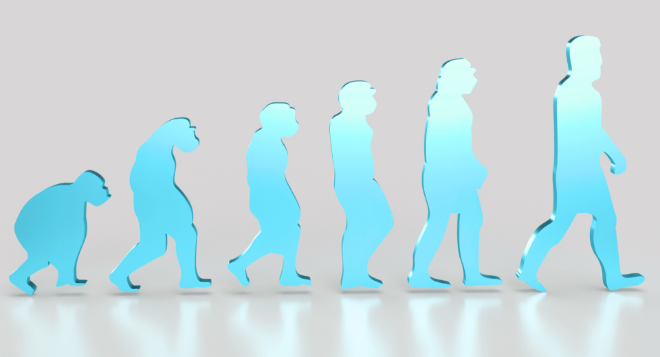 Ilustración de la evolución humana en distintas etapas, simbolizando el desarrollo personal y la madurez en el liderazgo
